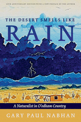 front cover of The Desert Smells Like Rain