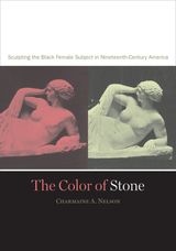 front cover of The Color of Stone