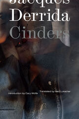 front cover of Cinders