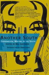 front cover of Another South