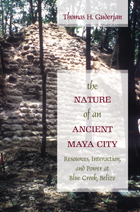 front cover of The Nature of an Ancient Maya City