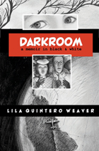 front cover of Darkroom