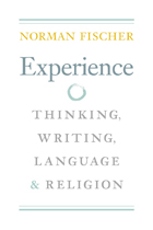 front cover of Experience
