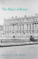 front cover of The Palace of Bones