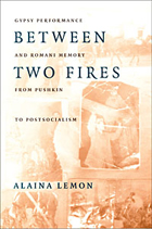 front cover of Between Two Fires