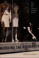 front cover of Working the Boundaries