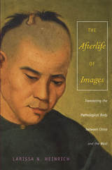 front cover of The Afterlife of Images