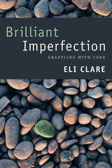 front cover of Brilliant Imperfection