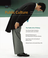 front cover of The Public Life of History, Volume 20