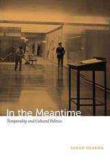 front cover of In the Meantime