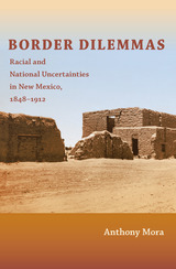 front cover of Border Dilemmas