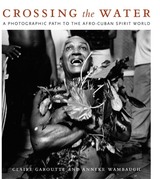 front cover of Crossing the Water
