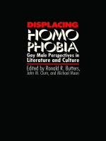 front cover of Displacing Homophobia