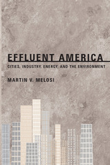 front cover of Effluent America