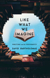 front cover of Like What We Imagine
