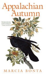 front cover of Appalachian Autumn