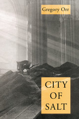 front cover of City Of Salt