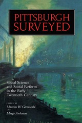 front cover of Pittsburgh Surveyed