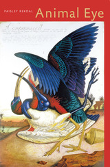 front cover of Animal Eye