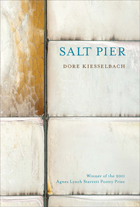 front cover of Salt Pier
