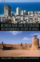 front cover of Between Ruin and Restoration