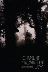 front cover of Chapel of Inadvertent Joy