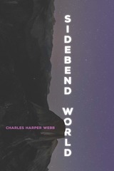 front cover of Sidebend World