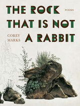 front cover of The Rock That is Not a Rabbit