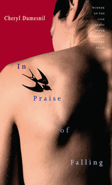 front cover of In Praise of Falling