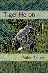 front cover of Tiger Heron