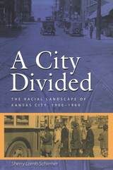 front cover of A City Divided