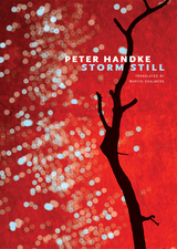 front cover of Storm Still