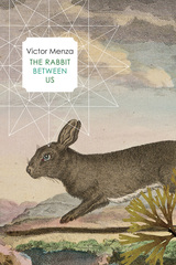 front cover of The Rabbit Between Us