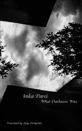 front cover of What Darkness Was