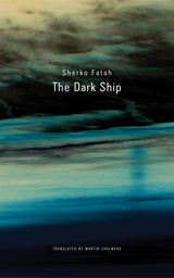 front cover of The Dark Ship
