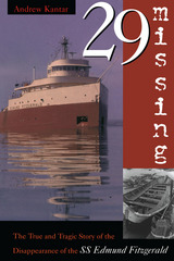 front cover of 29 Missing