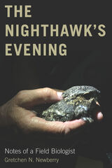 front cover of The Nighthawk's Evening