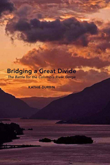 front cover of Bridging a Great Divide