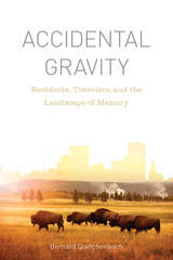 front cover of Accidental Gravity