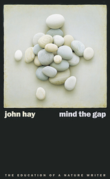 Mind The Gap
