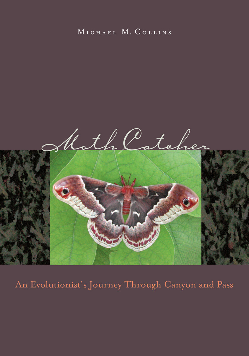 Moth Catcher An Evolutionist S Journey Through Canyon And