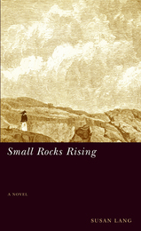 front cover of Small Rocks Rising