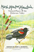 front cover of Marsh Meadow Mountain