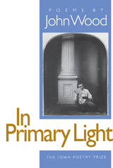 front cover of In Primary Light