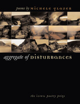 front cover of Aggregate of Disturbances