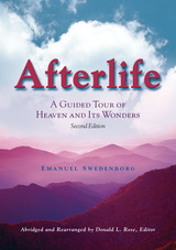 front cover of Afterlife