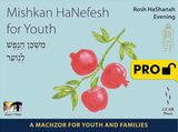 front cover of Mishkan HaNefesh for Youth  Visual T'filah - Rosh HaShanah - Evening