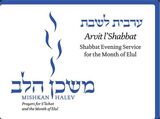 front cover of Mishkan HaLev