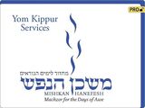 front cover of Mishkan HaNefesh - Visual T'filah - Yom Kippur - Pro