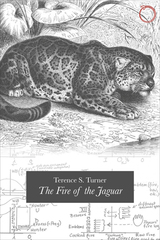 front cover of The Fire of the Jaguar